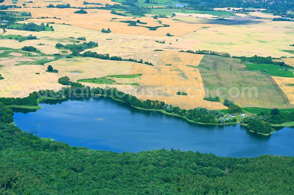 Briesen from above - Riparian areas on the lake area of Grosser Briesensee in Briesen in the state Brandenburg, Germany