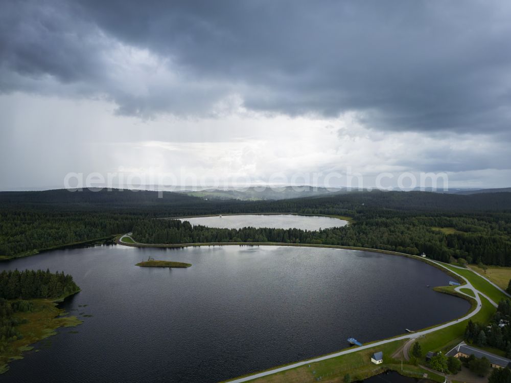 Altenberg from the bird's eye view: Riparian areas on the lake area of Grosser Galgenteich in a forest area on street Schellerhauer Weg in Altenberg in the state Saxony, Germany