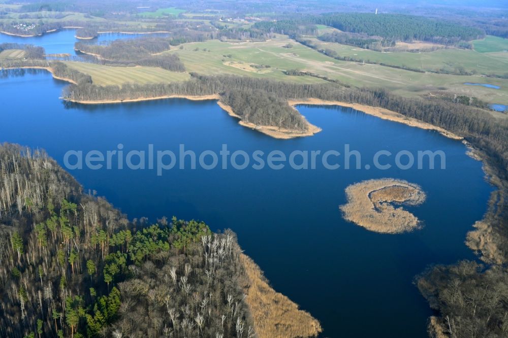 Aerial photograph Hohenwalde - Riparian areas on the lake area of Grosser Krinertsee in a forest area in Hohenwalde in the state Brandenburg, Germany