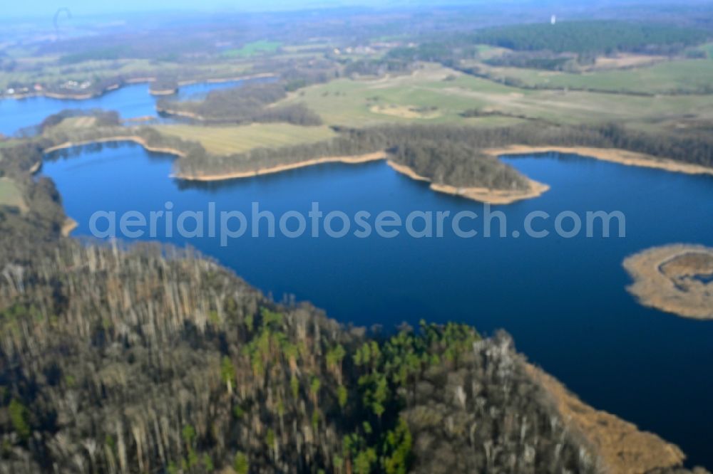 Hohenwalde from above - Riparian areas on the lake area of Grosser Krinertsee in a forest area in Hohenwalde in the state Brandenburg, Germany