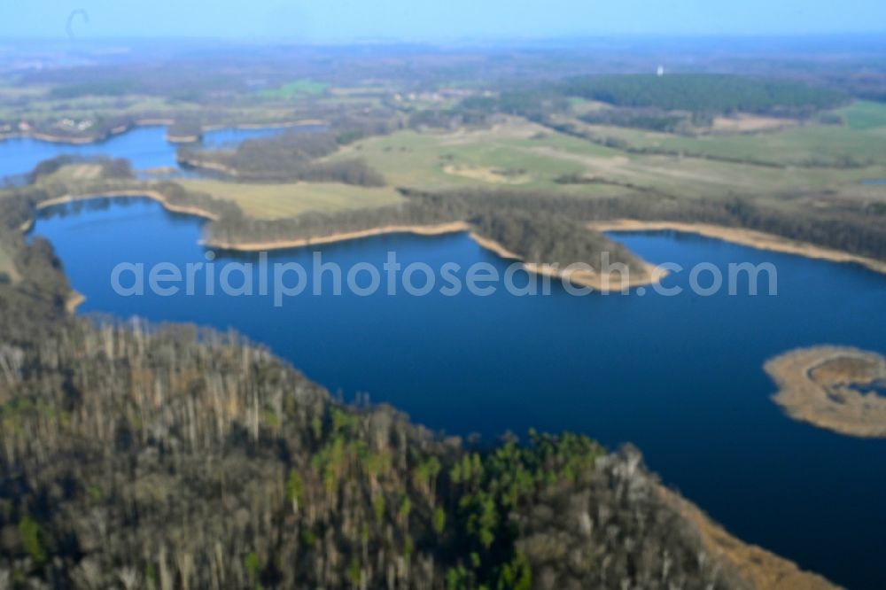 Hohenwalde from the bird's eye view: Riparian areas on the lake area of Grosser Krinertsee in a forest area in Hohenwalde in the state Brandenburg, Germany