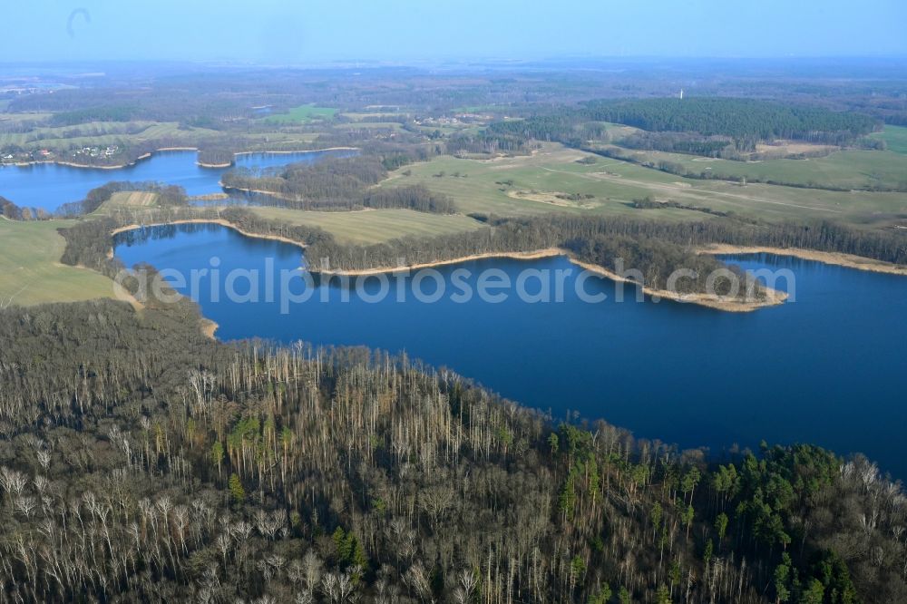 Aerial image Hohenwalde - Riparian areas on the lake area of Grosser Krinertsee in a forest area in Hohenwalde in the state Brandenburg, Germany