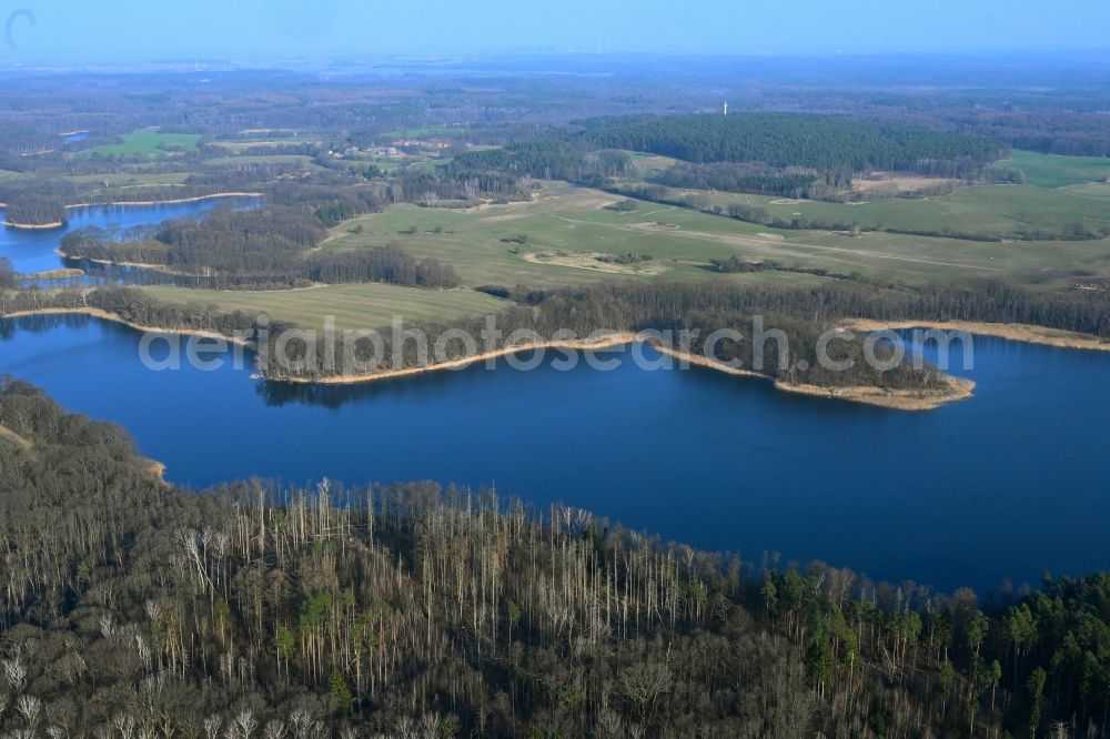 Aerial photograph Hohenwalde - Riparian areas on the lake area of Grosser Krinertsee in a forest area in Hohenwalde in the state Brandenburg, Germany