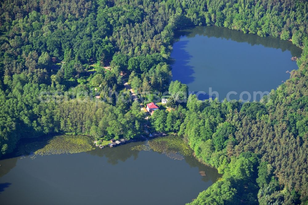 Aerial image Lienewitz - Riparian areas on the lake area of Grosser Lienewitzsee in the forest area of Lienewitz-Caputher lakes and wetland chain in Lienewitz in the state Brandenburg