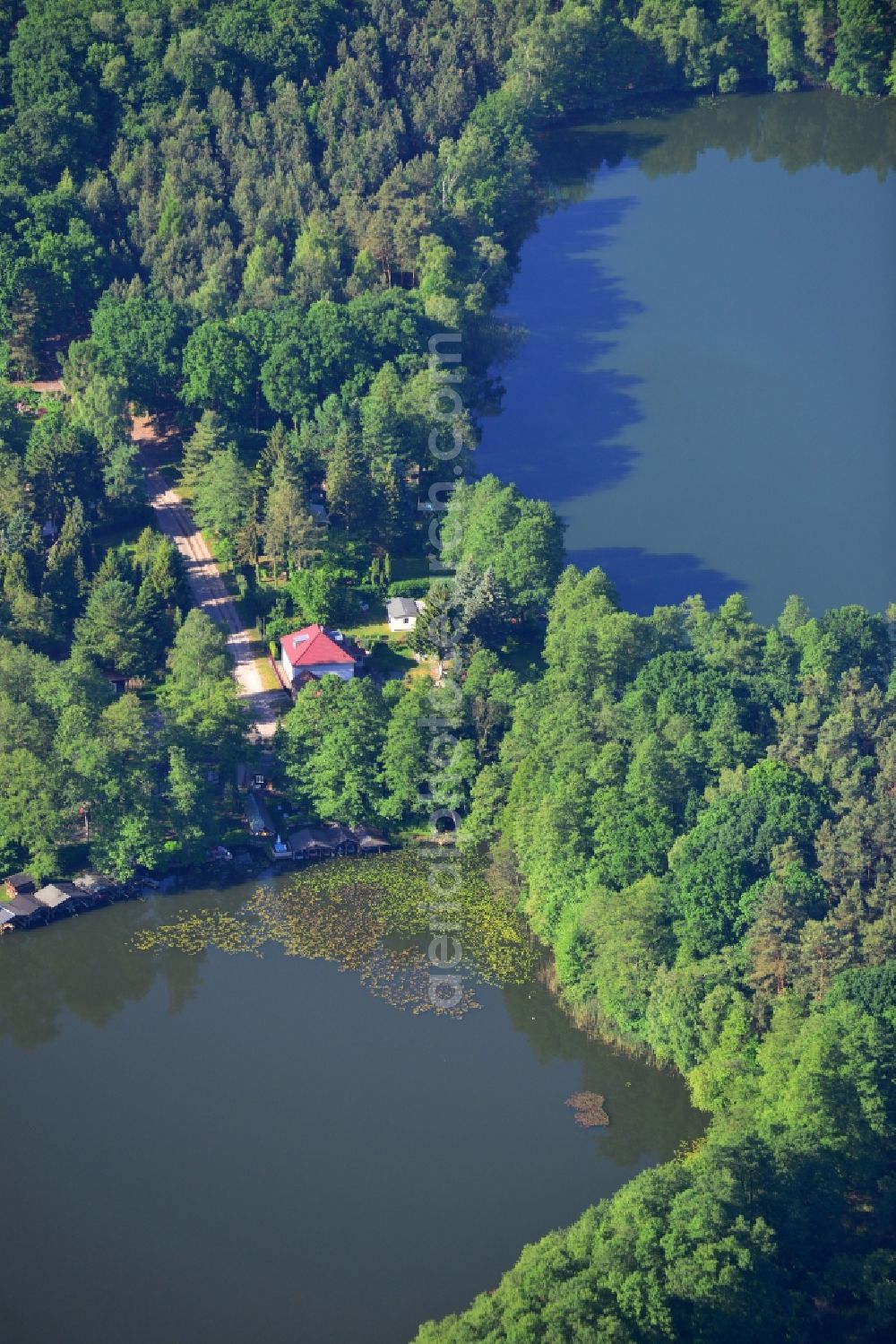 Aerial photograph Lienewitz - Riparian areas on the lake area of Grosser Lienewitzsee in the forest area of Lienewitz-Caputher lakes and wetland chain in Lienewitz in the state Brandenburg