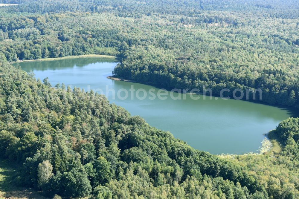 Aerial photograph Nordwestuckermark - Riparian areas on the lake area of Grosser Petznicksee in Nordwestuckermark in the state Brandenburg