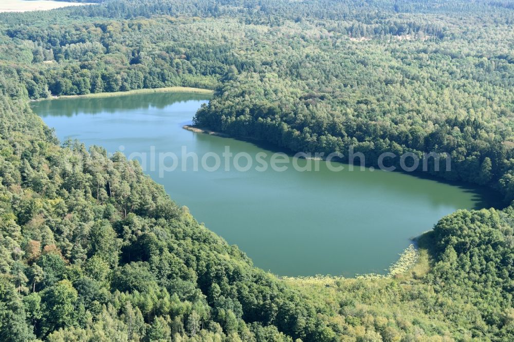 Nordwestuckermark from above - Riparian areas on the lake area of Grosser Petznicksee in Nordwestuckermark in the state Brandenburg