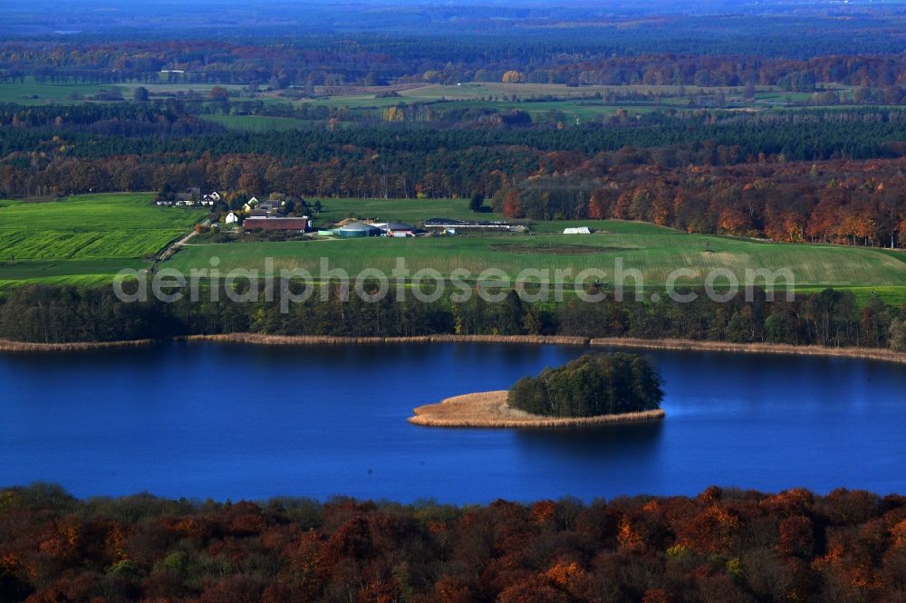 Friedrichswalde from the bird's eye view: Riparian areas on the lake area of Grosser Praessnicksee in a forest area in Friedrichswalde in the state Brandenburg, Germany