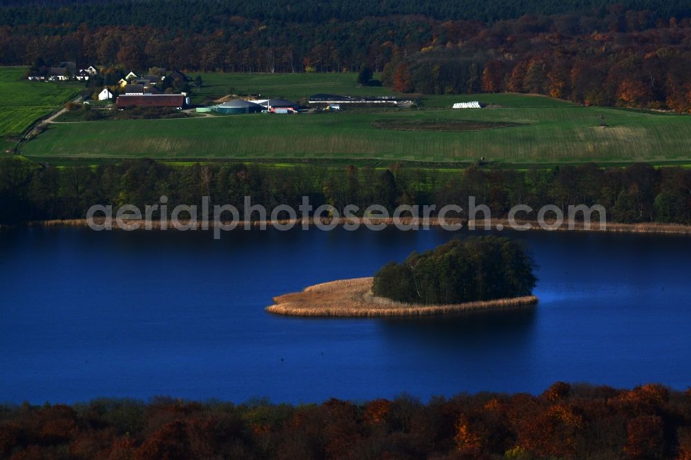 Aerial image Friedrichswalde - Riparian areas on the lake area of Grosser Praessnicksee in a forest area in Friedrichswalde in the state Brandenburg, Germany