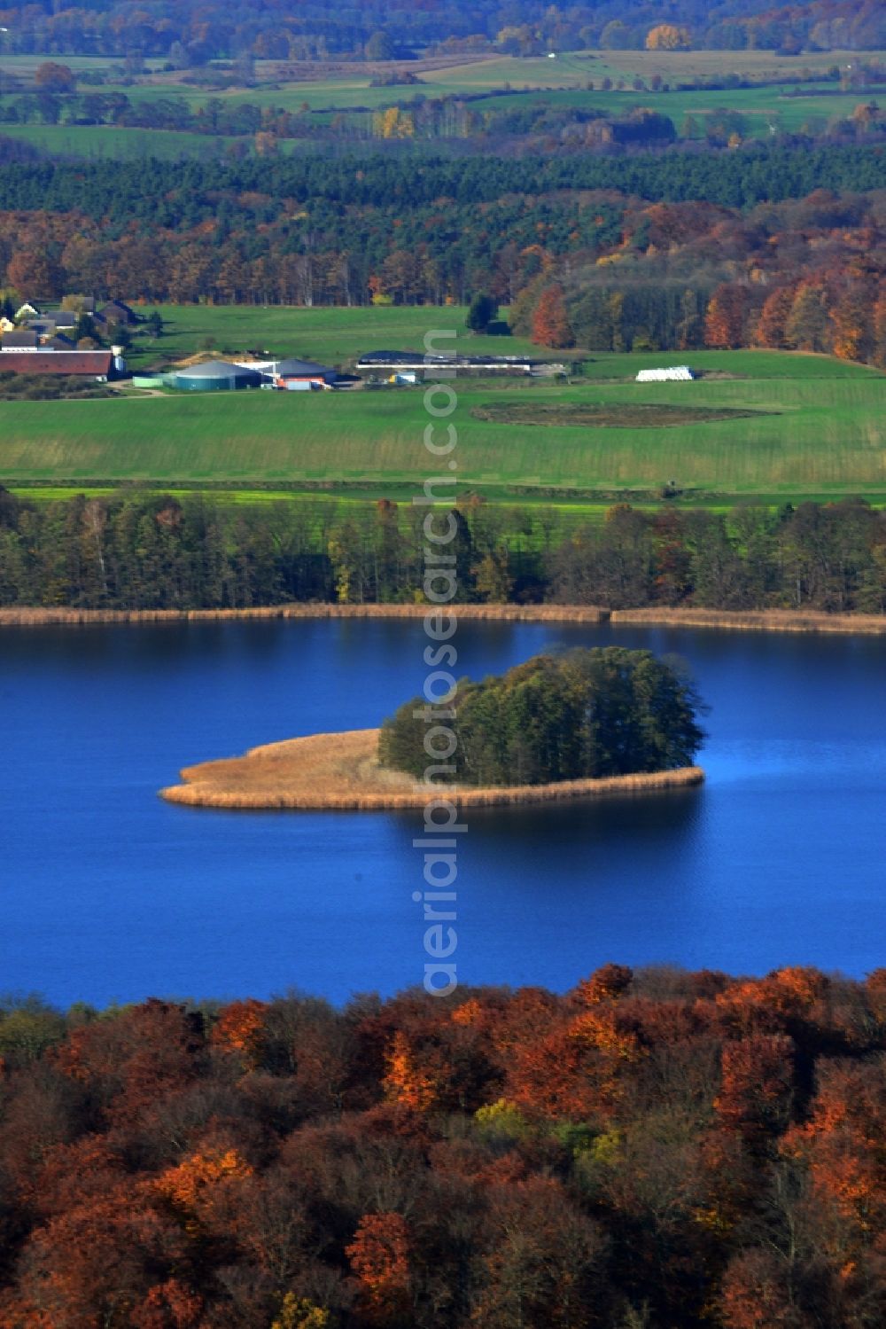 Aerial photograph Friedrichswalde - Riparian areas on the lake area of Grosser Praessnicksee in a forest area in Friedrichswalde in the state Brandenburg, Germany