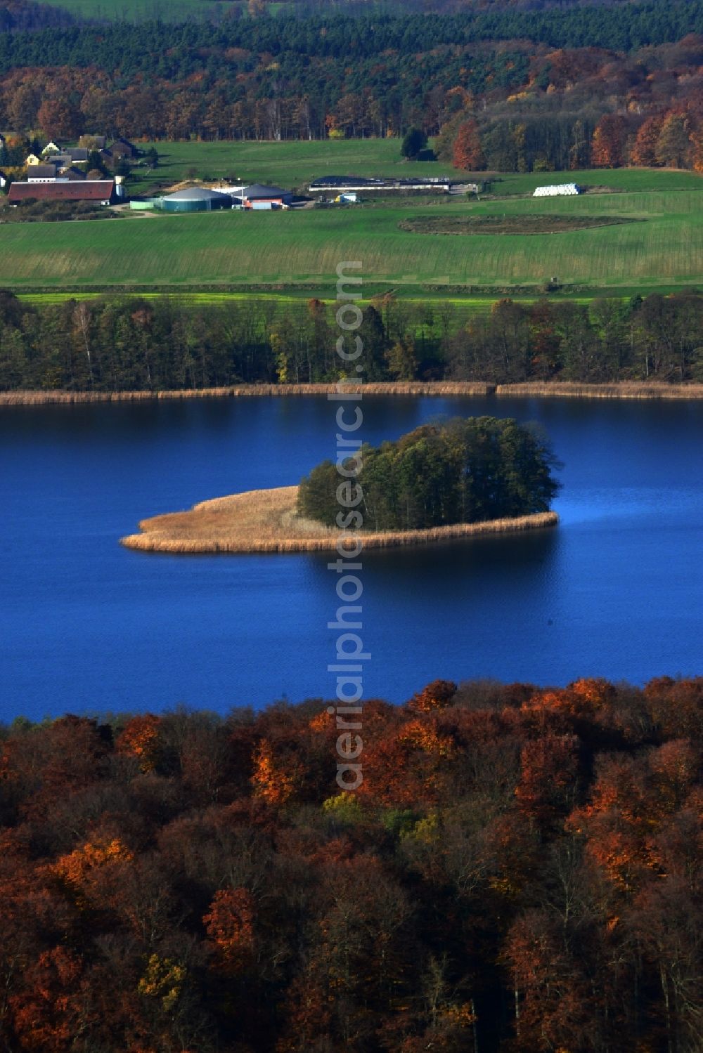 Friedrichswalde from above - Riparian areas on the lake area of Grosser Praessnicksee in a forest area in Friedrichswalde in the state Brandenburg, Germany