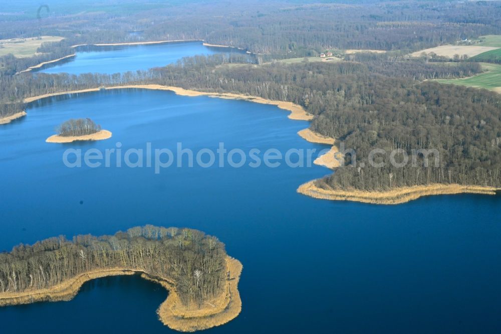 Friedrichswalde from above - Riparian areas on the lake area of Grosser Praessnicksee in a forest area in Friedrichswalde in the state Brandenburg, Germany