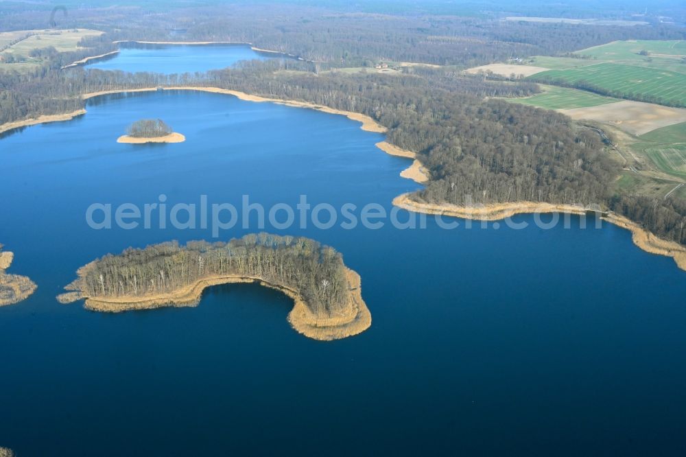 Friedrichswalde from the bird's eye view: Riparian areas on the lake area of Grosser Praessnicksee in a forest area in Friedrichswalde in the state Brandenburg, Germany