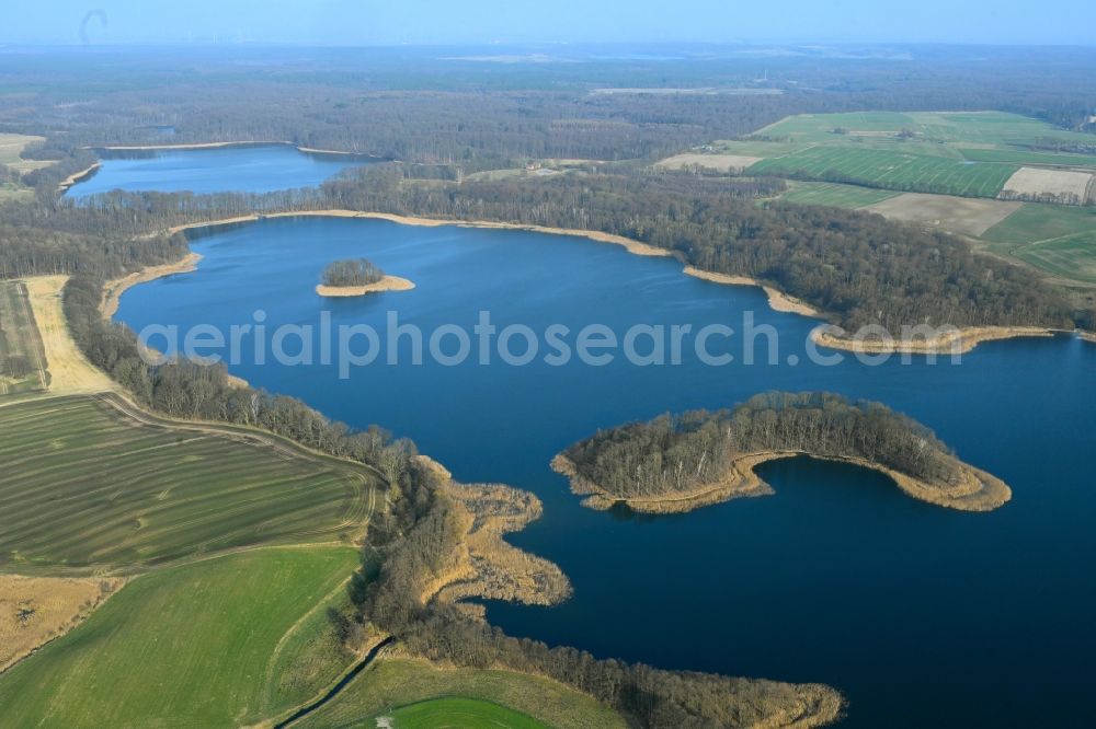 Aerial image Friedrichswalde - Riparian areas on the lake area of Grosser Praessnicksee in a forest area in Friedrichswalde in the state Brandenburg, Germany