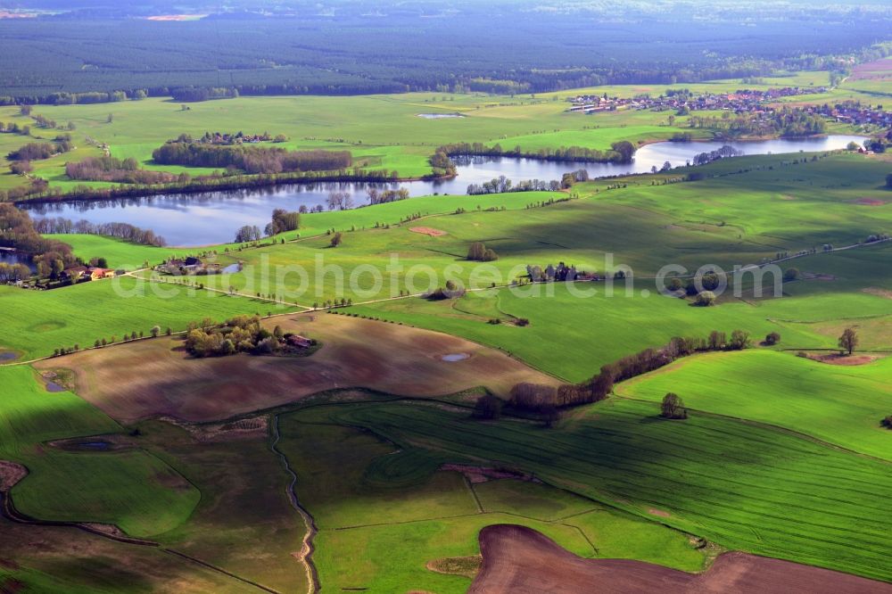 Friedrichswalde from the bird's eye view: Shore areas of the lake Big Praessnicksee in Friedrichswalde in Brandenburg