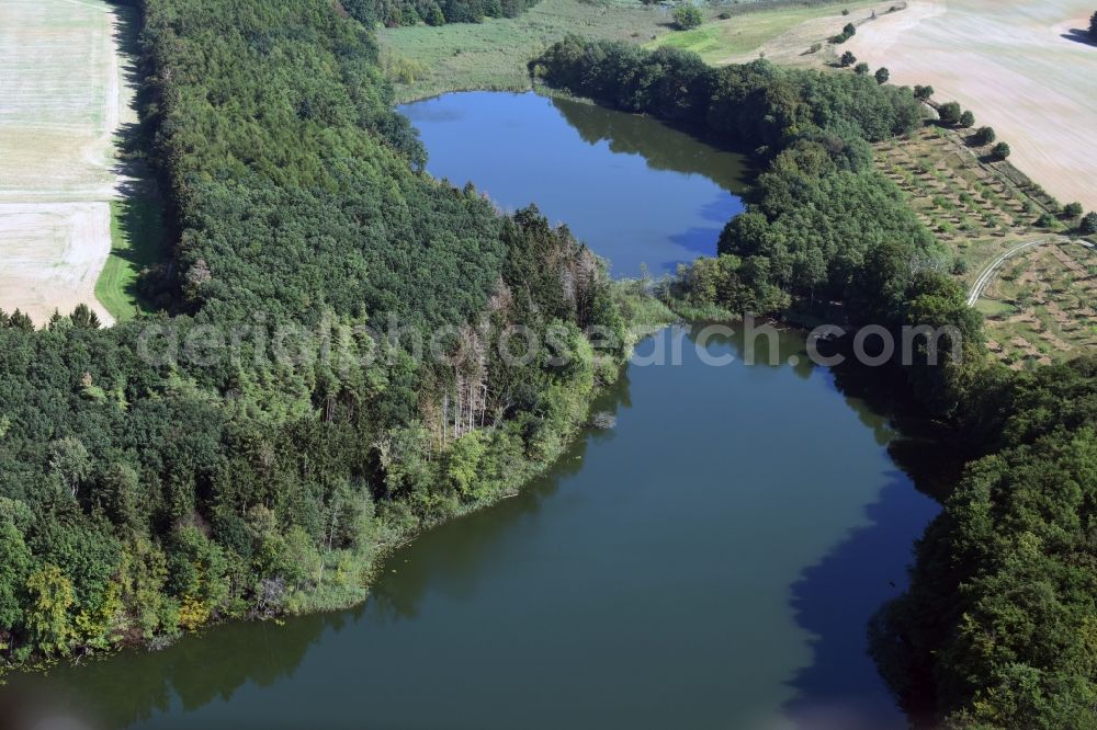 Aerial image Boitzenburger Land - Riparian areas on the lake area of Grosser Suckowsee in Boitzenburger Land in the state Brandenburg