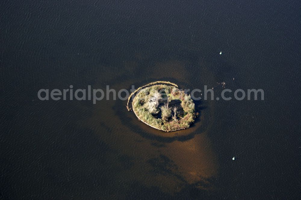 Lindow (Mark) from the bird's eye view: Riparian areas on the lake area of Gudelacksee in Lindow (Mark) at Mark in the state Brandenburg, Germany