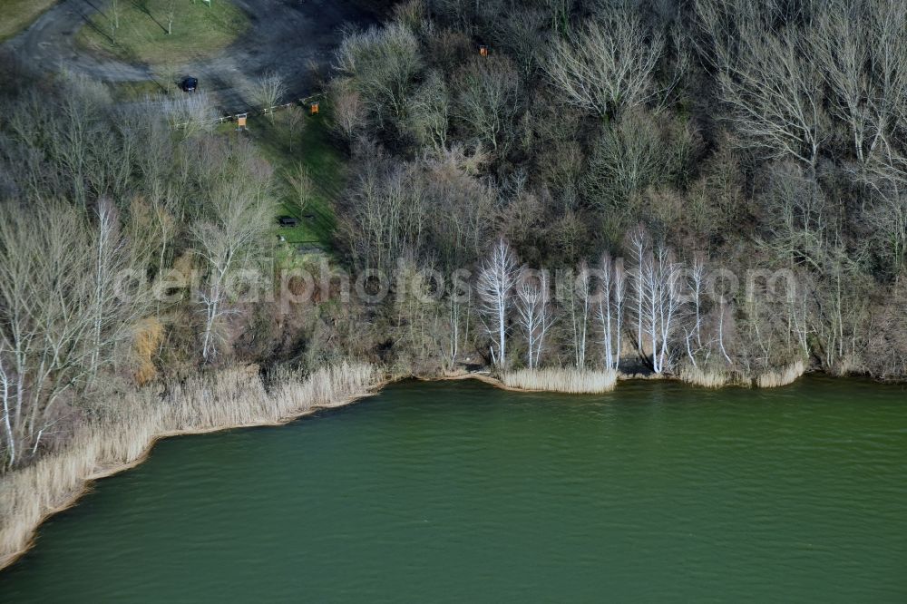 Aerial image Meuselwitz - Riparian areas on the lake area of Hainbergsee in Meuselwitz in the state Thuringia