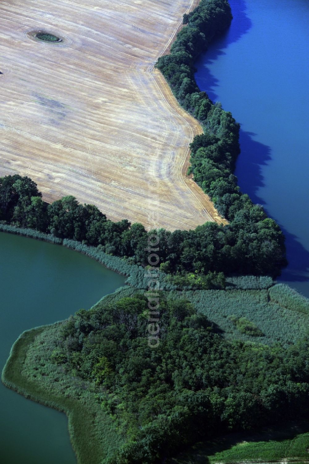 Neu Gaarz from above - Riparian areas on the lake area of Hofsee - Tiefer See in Neu Gaarz in the state Mecklenburg - Western Pomerania