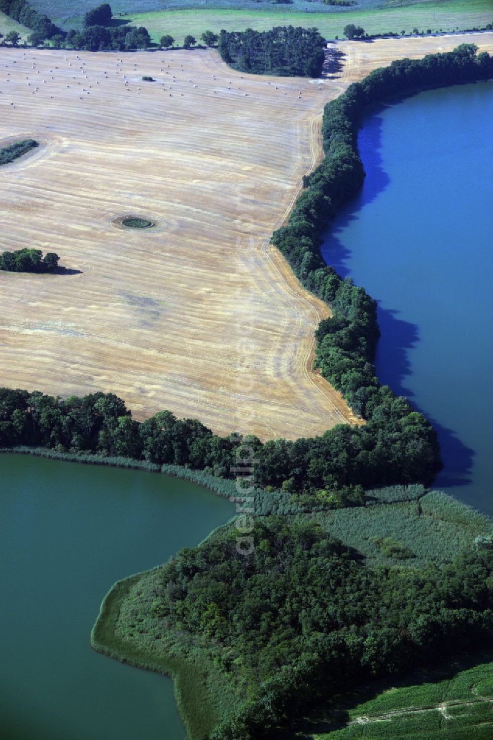 Neu Gaarz from the bird's eye view: Riparian areas on the lake area of Hofsee - Tiefer See in Neu Gaarz in the state Mecklenburg - Western Pomerania