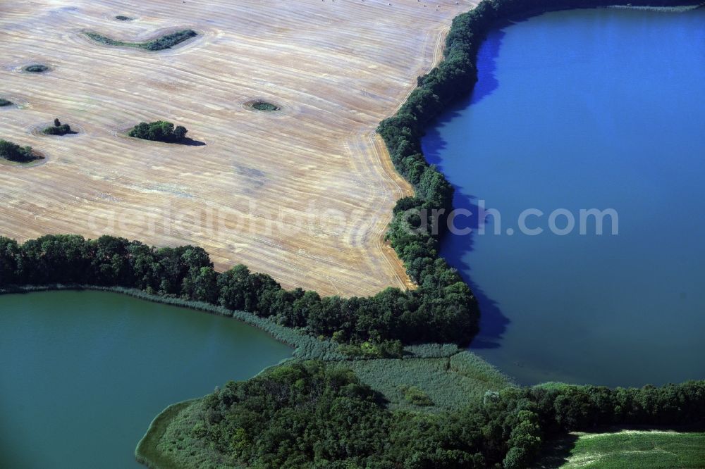 Aerial image Neu Gaarz - Riparian areas on the lake area of Hofsee - Tiefer See in Neu Gaarz in the state Mecklenburg - Western Pomerania