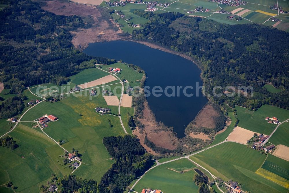 Haberspoint from above - Riparian areas on the lake area of Hofstaetter See in a forest area in the district Kalkgrub in Haberspoint in the state Bavaria, Germany