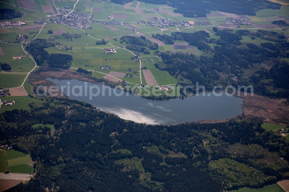 Haberspoint from the bird's eye view: Riparian areas on the lake area of Hofstaetter See in a forest area in the district Kalkgrub in Haberspoint in the state Bavaria, Germany