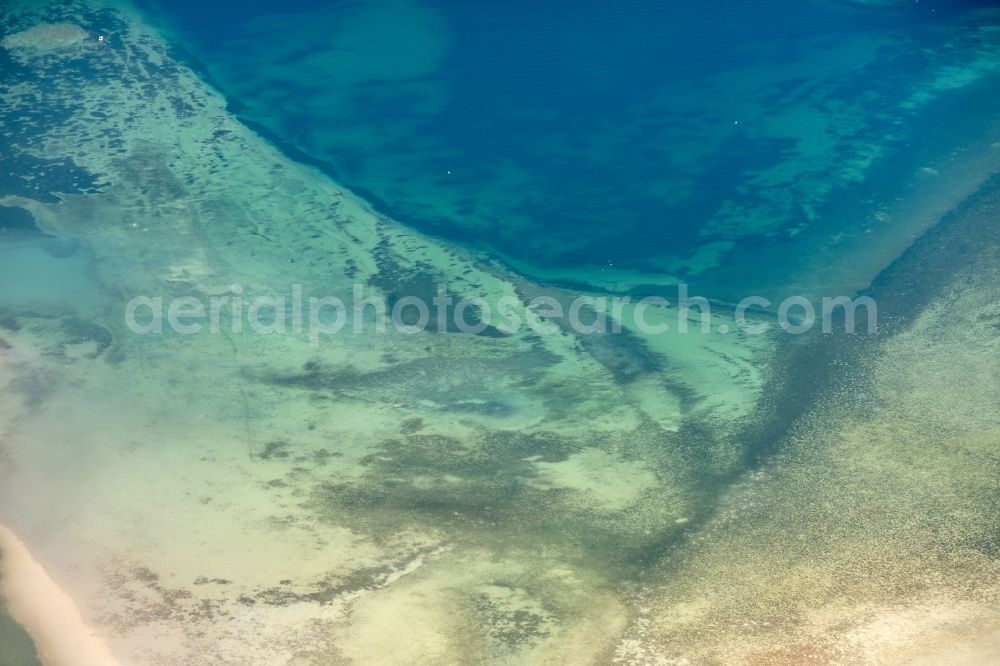 Aerial image Reichenau - Riparian areas on the lake area of Insel Reichenau on street Pirminstrasse in Reichenau in the state Baden-Wurttemberg, Germany