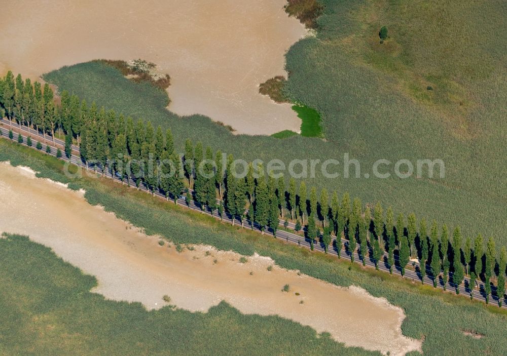 Aerial photograph Reichenau - Riparian areas on the lake area of Insel Reichenau on street Pirminstrasse in Reichenau in the state Baden-Wurttemberg, Germany