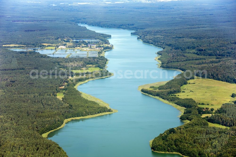 Aerial photograph Pilawki - Riparian areas on the lake area of Jezioro Drweckie - Drewenzer See in a forest area in Pilawki in Warminsko-Mazurskie, Poland