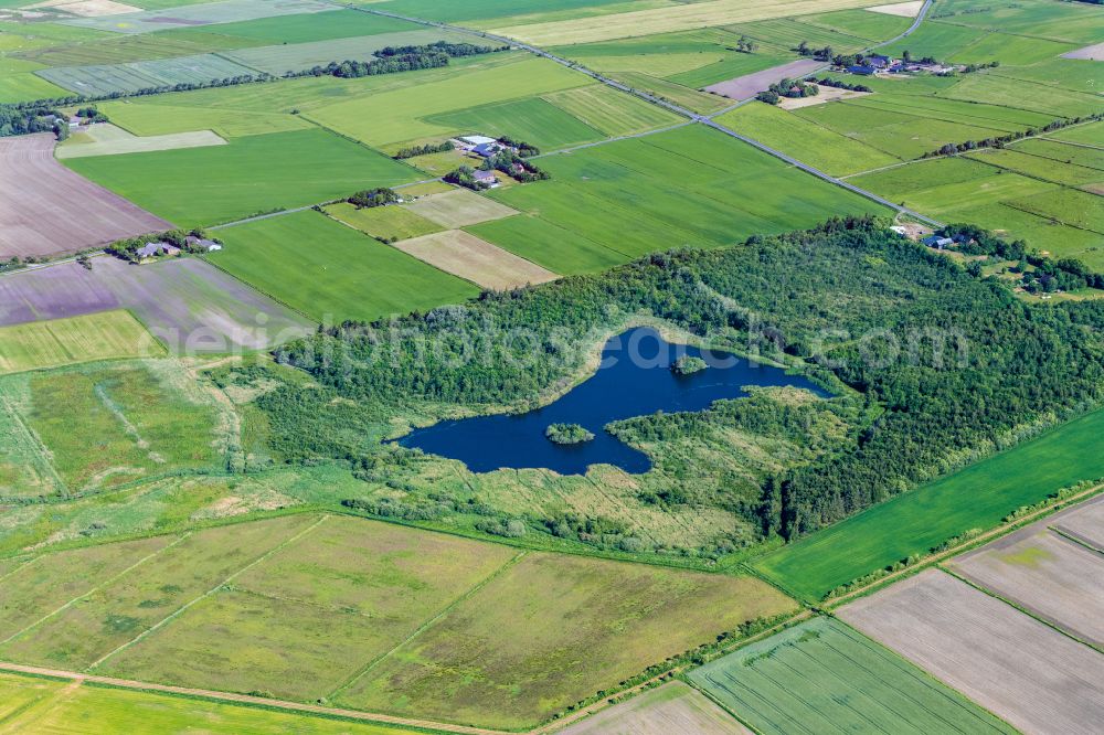 Humptrup from above - Riparian areas on the lake area of Kahlebueller See in Humptrup in the state Schleswig-Holstein, Germany