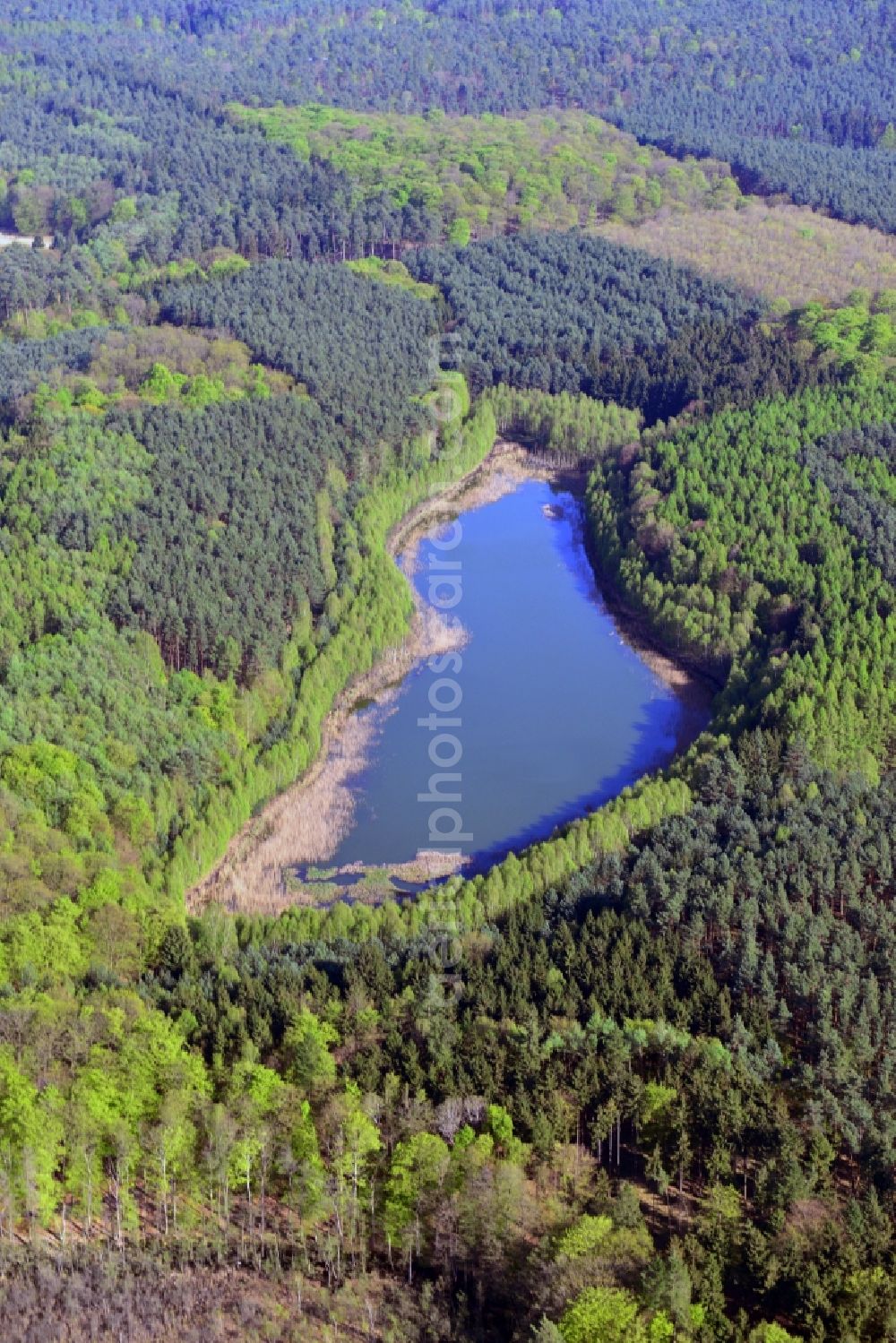 Neuhaus from the bird's eye view: Shore areas of the lake Kiehn lake in Poratzer moraine Neuhaus in Brandenburg