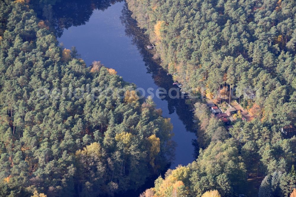 Grünheide (Mark) from above - Riparian areas on the lake area of Kiessee in Gruenheide (Mark) in the state Brandenburg