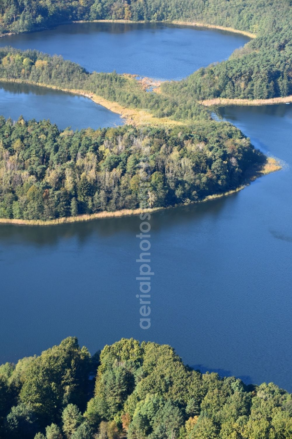 Münchehofe from above - Riparian areas on the lake area of Klobichsee in Muenchehofe in the state Brandenburg, Germany