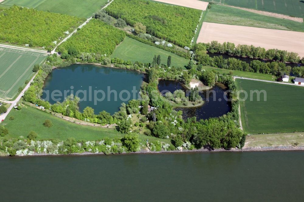 Aerial photograph Trebur - Riparian areas on the lake area of Kornsand in Trebur in the state Hesse, Germany