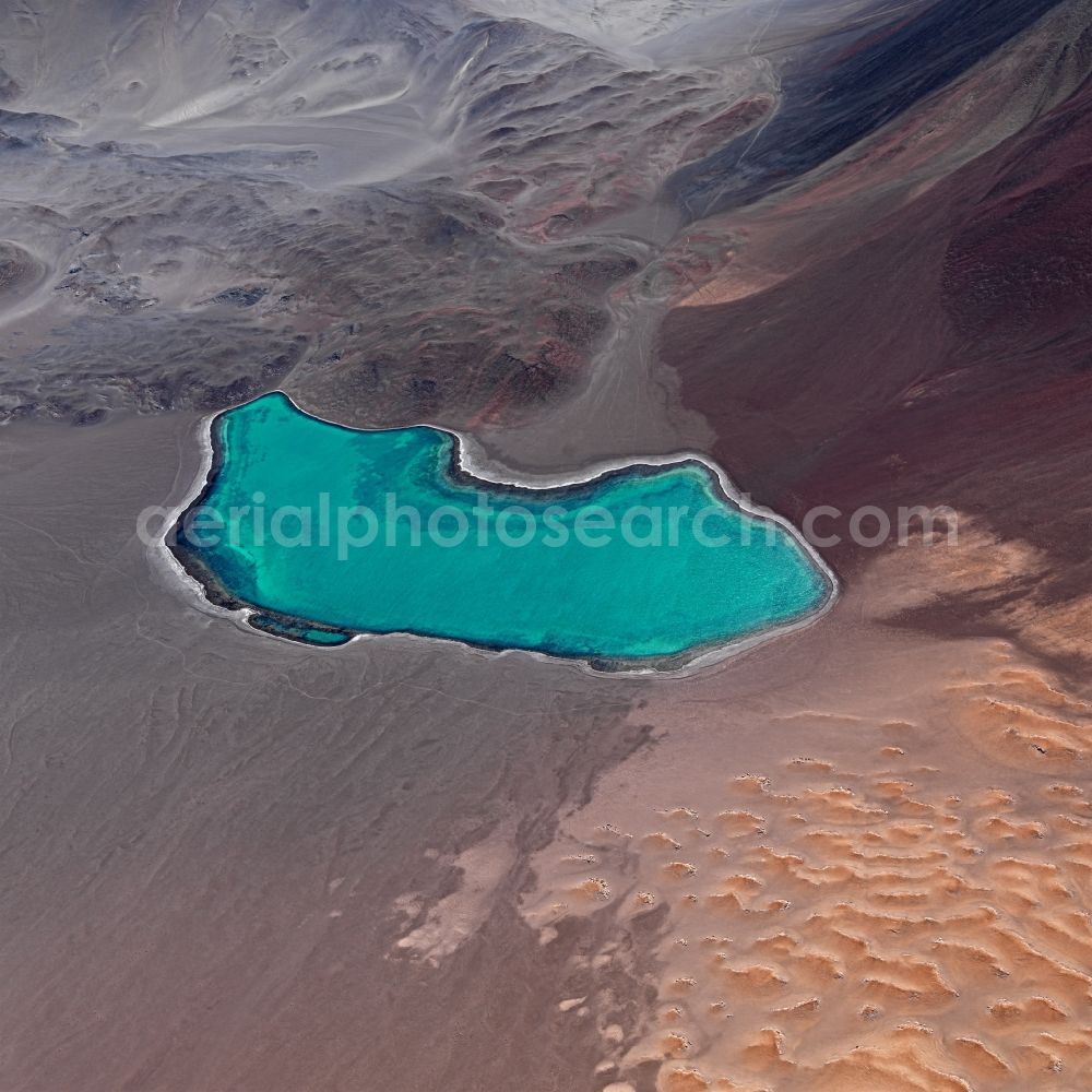 Aerial image Atacama- Wüste - Riparian areas on the lake area of Laguna Totota in Atacama Desert in III RegiA?n, Chile