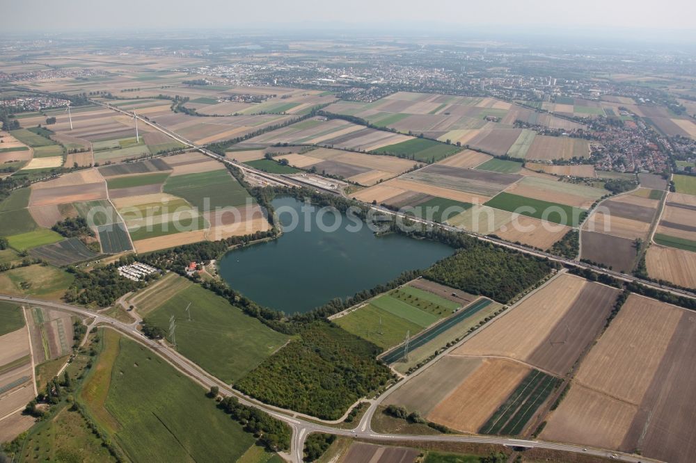 Aerial photograph Lambsheim - Riparian areas on the lake area of Lambsheimer Weiher in Lambsheim in the state Rhineland-Palatinate