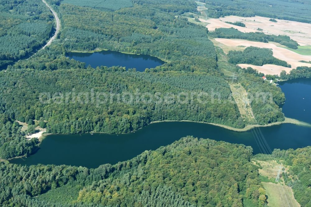 Aerial image Blumenholz - Riparian areas on the lake area of Langer See in Blumenholz in the state Mecklenburg - Western Pomerania