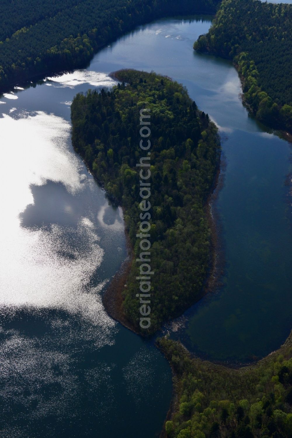 Temmen-Ringenwalde from the bird's eye view: Riparian areas on the sea area of Libbesickesee in Temmen-Ringenwalde in the state Brandenburg