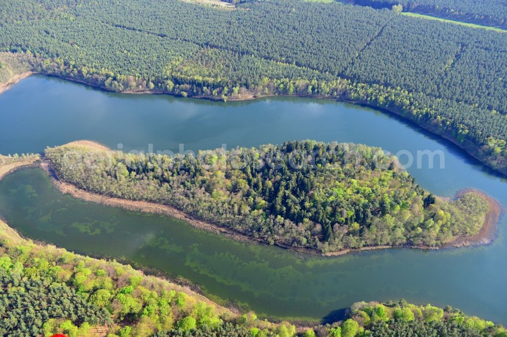 Aerial photograph Temmen-Ringenwalde - Riparian areas on the sea area of Libbesickesee in Temmen-Ringenwalde in the state Brandenburg