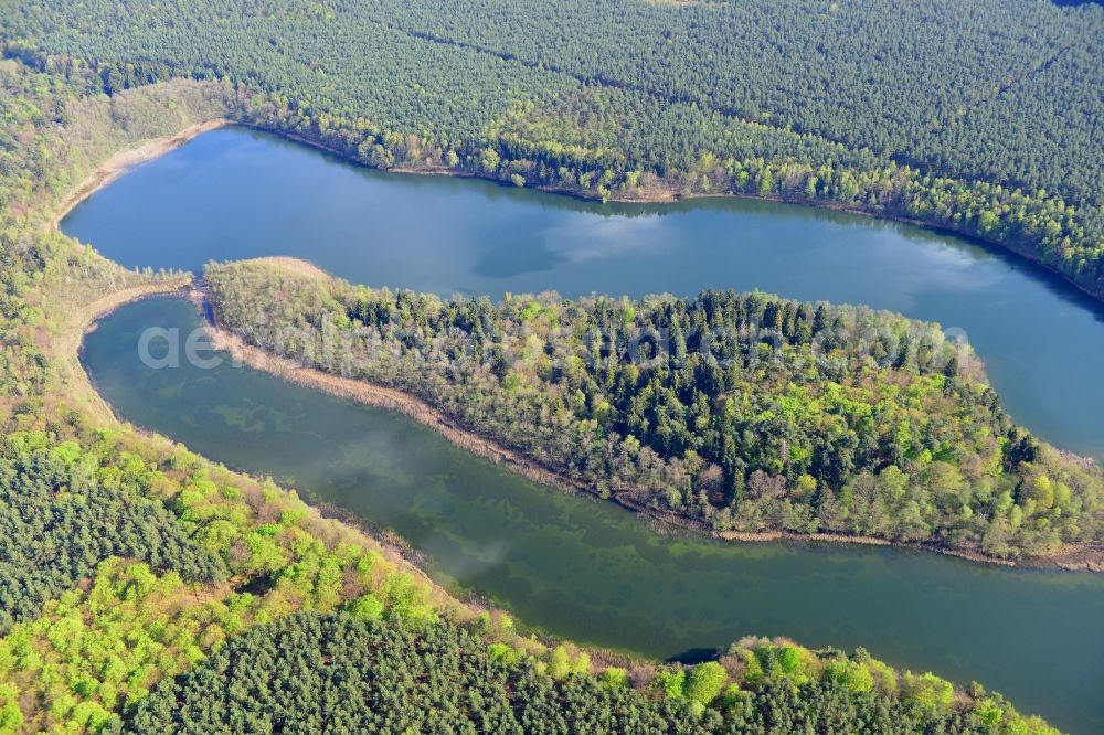 Temmen-Ringenwalde from above - Riparian areas on the sea area of Libbesickesee in Temmen-Ringenwalde in the state Brandenburg