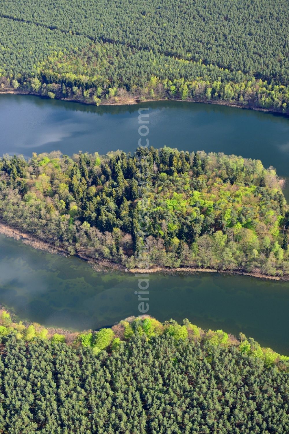 Temmen-Ringenwalde from the bird's eye view: Riparian areas on the sea area of Libbesickesee in Temmen-Ringenwalde in the state Brandenburg