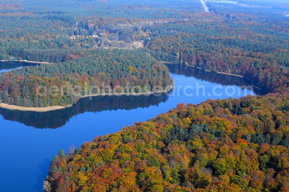 Aerial photograph Lanke - Riparian areas on the lake area of Liebnitzsee in Lanke in the state Brandenburg, Germany