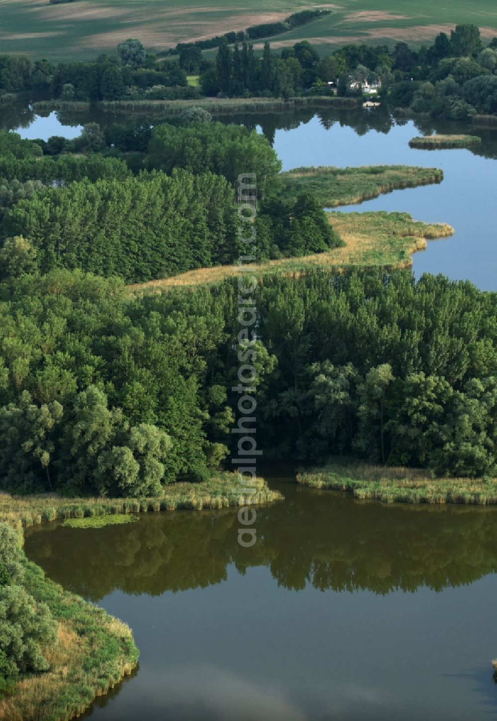 Oberkrämer from the bird's eye view: Riparian areas on the lake area of Muehlensee in Oberkraemer in the state Brandenburg