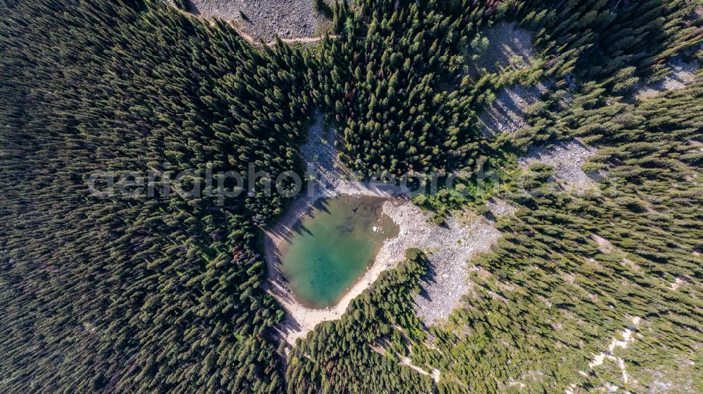 Aerial photograph Lake Louise - Riparian areas on the lake area of Mirror Lake in a forest area on street Lake Agnes Trail in Lake Louise in Alberta, Canada