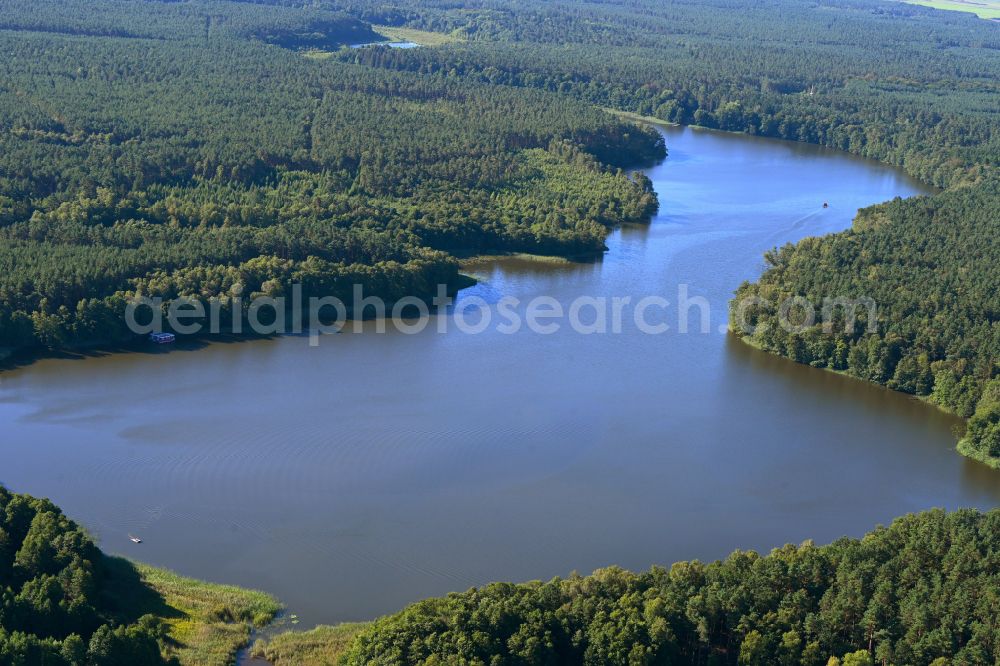 Aerial image Alt Ruppin - Riparian areas on the lake area of Moellensee in a forest area in Alt Ruppin in the state Brandenburg, Germany