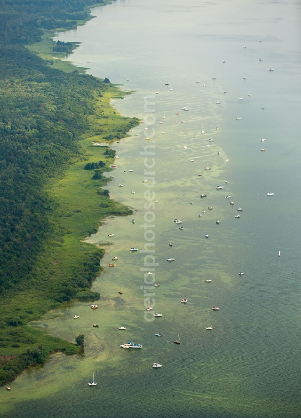 Klink from above - Riparian areas on the lake area of Mueritz in Klink in the state Mecklenburg - Western Pomerania