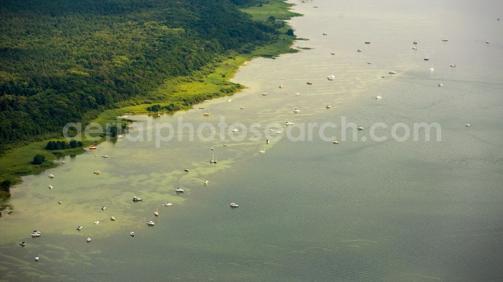 Klink from the bird's eye view: Riparian areas on the lake area of Mueritz in Klink in the state Mecklenburg - Western Pomerania