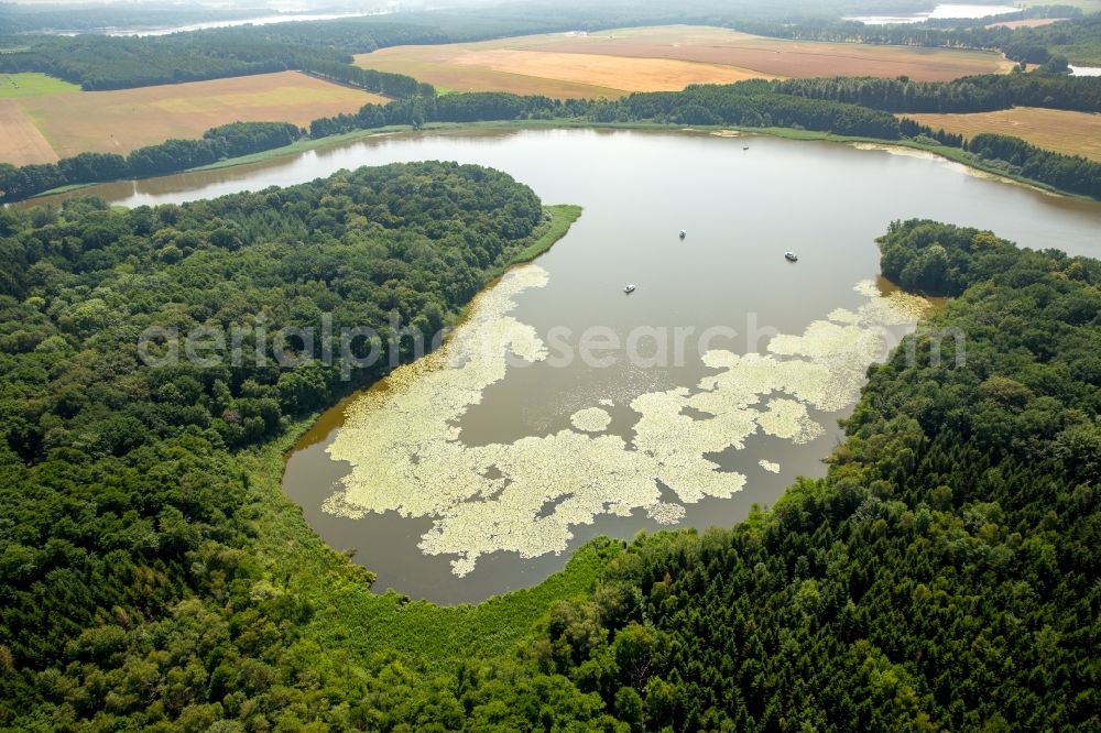 Buchholz from the bird's eye view: Riparian areas of lake Mueritzsee in Buchholz in the state of Mecklenburg - Western Pomerania. The lake is surrounded by forest and fields