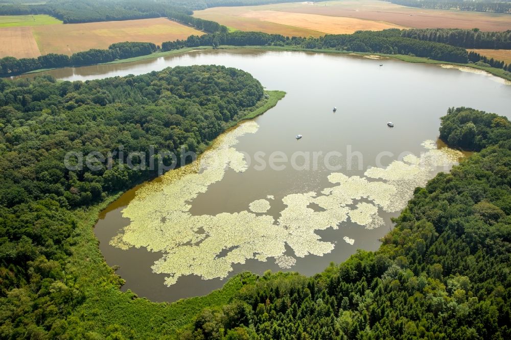 Aerial image Buchholz - Riparian areas of lake Mueritzsee in Buchholz in the state of Mecklenburg - Western Pomerania. The lake is surrounded by forest and fields